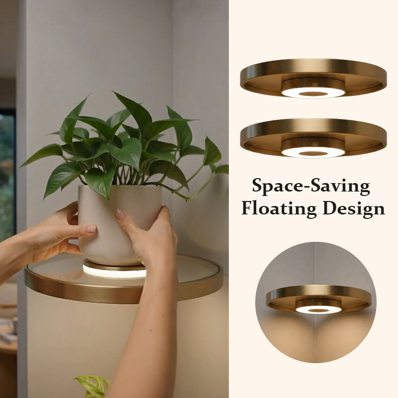Illuminated Floating Corner Shelf💡🌿