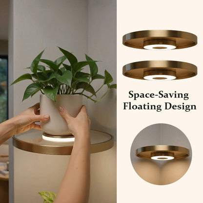 Illuminated Floating Corner Shelf💡🌿