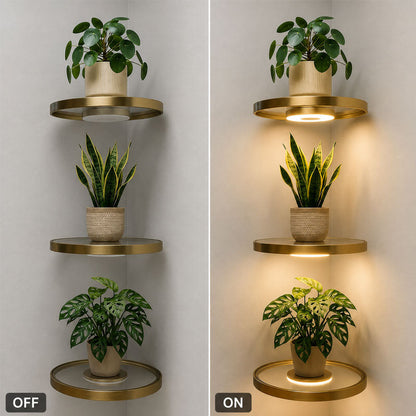 Illuminated Floating Corner Shelf💡🌿